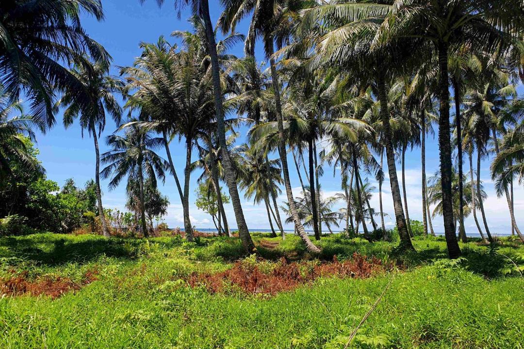 Photo of Others in Kepulauan Banyak