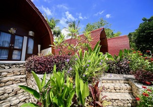 Jungle Paradise in Bali