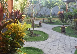 Made Taro - Menjangan Homestay in Bali