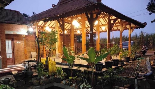 Basic Double Room, Patio, Garden View