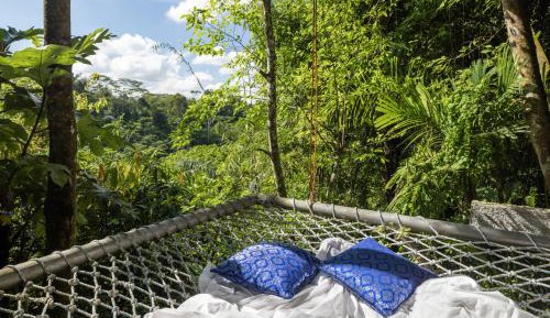 Honeymooner Rain Forest Jungle Suite with Free Mini-bar 