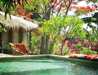Deluxe Room Poolside
