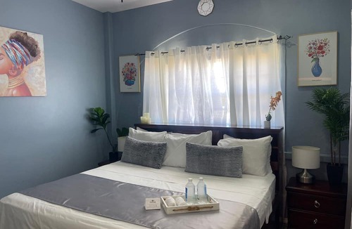 Basseterre House | The Colosseum