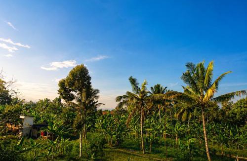 Kecamatan Pringgasela House | De Arte Bungalows