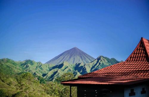Ngada House | Homestay Wolokoro