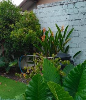 Denpasar Apartment | ebru vılla