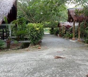 Bohorok House | Magpie homestay & jungle trekking especially for guest trekking with us