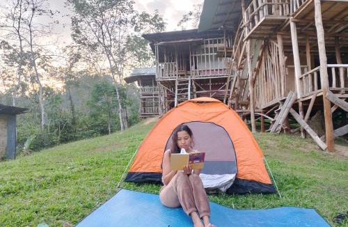Bukit Lawang House | WOOD CABIN LODGE IN THE FOREST book here treking with us