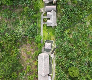 Bohorok Cabin | Mimpi of Orangutan Adventure, TREK ONLY BOOK WITH US