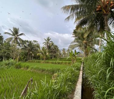 Tetebatu House | Greenfield-Lombok