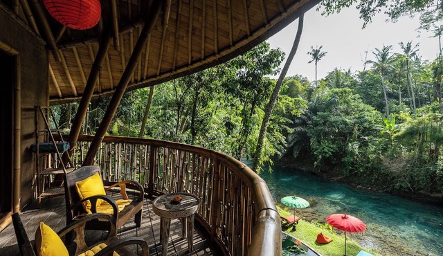 Bamboo Turtle Ecolodge in Ubud