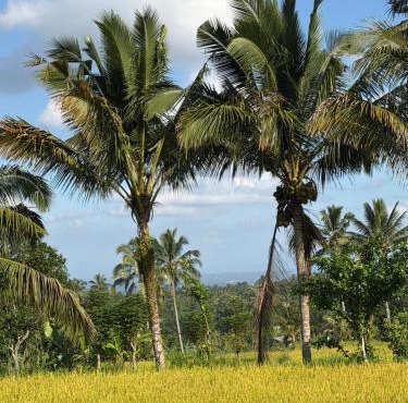 Elysium Tonic Retreat-Tetebatu Authentic Activities&Cooking in Tetebatu