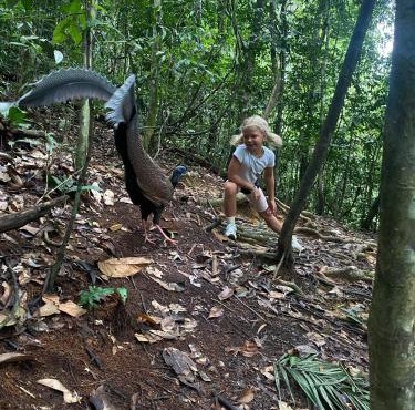 Tiga dara guest house & jungle trekking bukit Lawang in Bukit Lawang