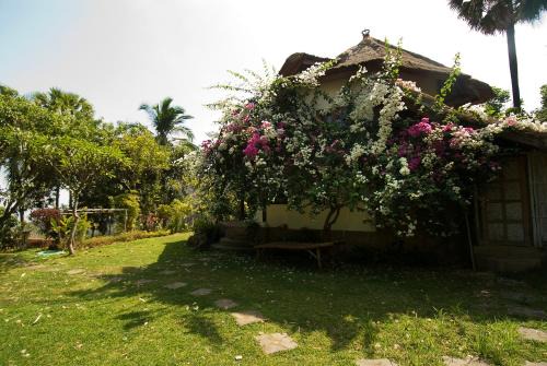 Gaia-Oasis Mountain Abasan in Tejakula